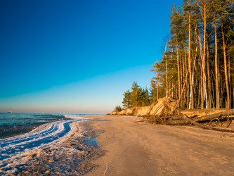 Similar image 7256529