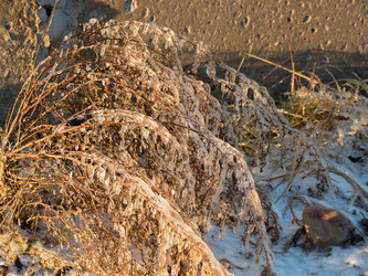 Similar image 7256560