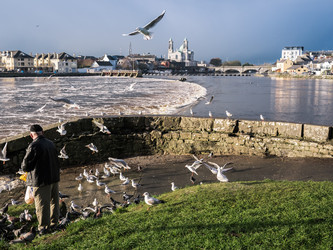 Similar image 7256570