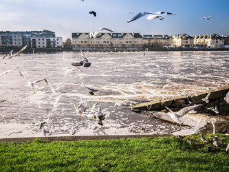 Similar image 7256574