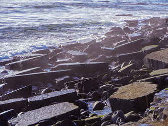 Similar image 7256619