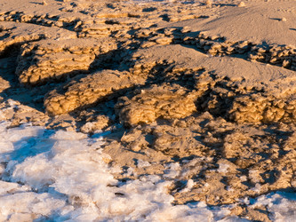 Similar image 7256635