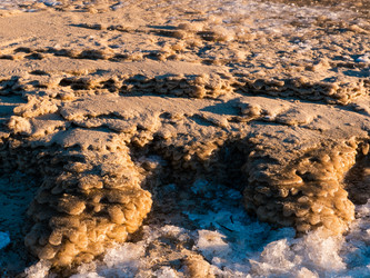 Similar image 7256636