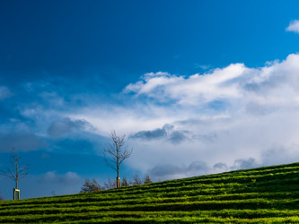 Similar image 7256642