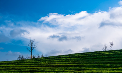 Similar image 7256651