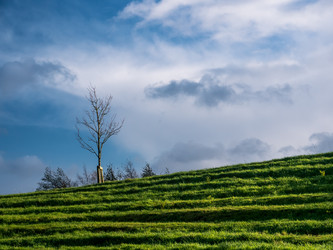 Similar image 7256652