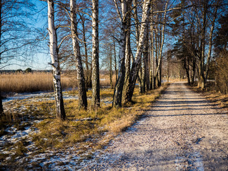 Similar image 7256653