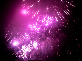 Similar image 7256687