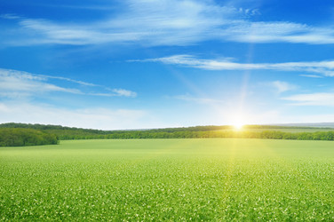 Similar image 7256833