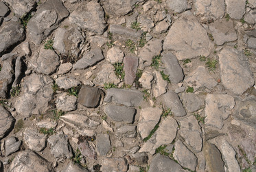 Similar image 7257684