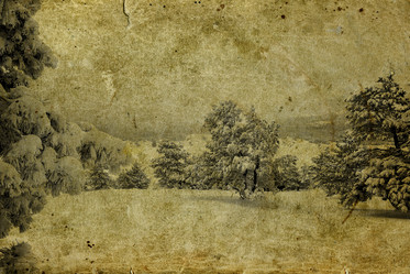 Similar image 7257686