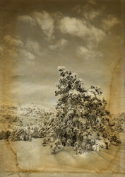 Similar image 7257687