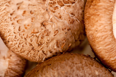 Similar image 7258032