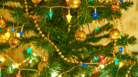 Similar image 7263894