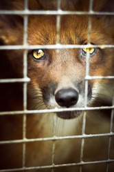 Similar image 7263942