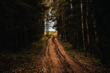 Similar image 7263946