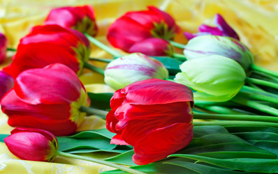 Similar image 7264094