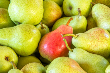 Similar image 7264166