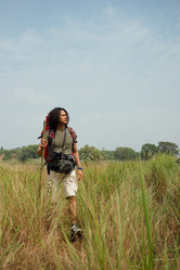 Similar image 7264511