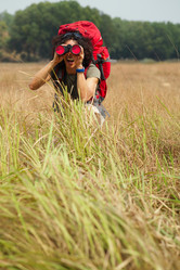 Similar image 7264554