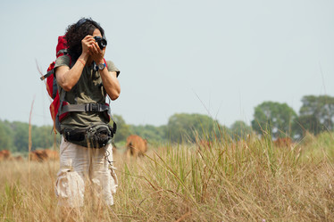 Similar image 7264557