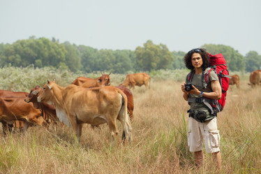 Similar image 7264558