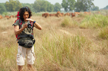 Similar image 7264559