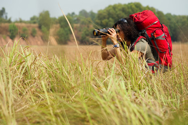 Similar image 7264567