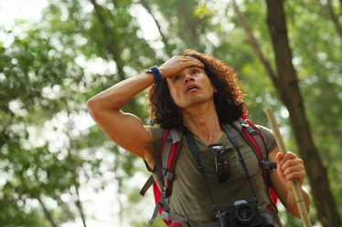 Similar image 7264574