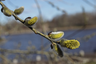 Similar image 7264691