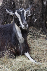 Similar image 7264715