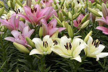 Similar image 7264717