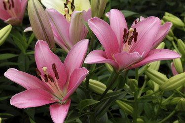 Similar image 7264718