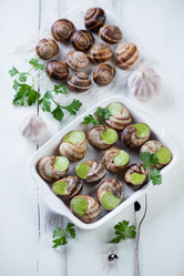 Similar image 7266766