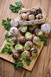 Similar image 7266771