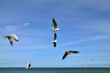 Similar image 7272837