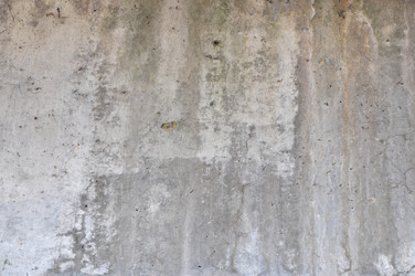 Similar image 7273543