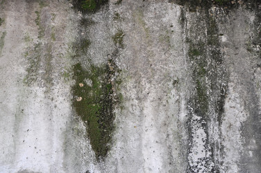 Similar image 7273853