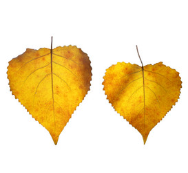 Similar image 7273901