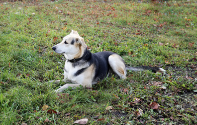 Similar image 7273902