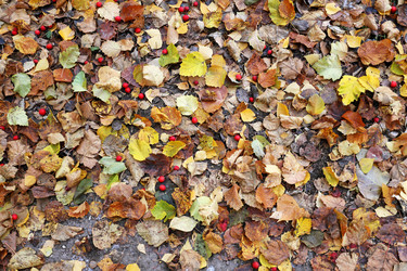 Similar image 7273909