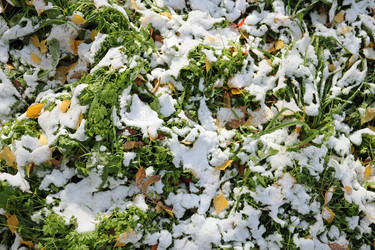 Similar image 7273944