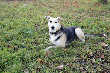 Similar image 7273946