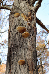 Similar image 7273948