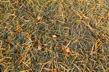 Similar image 7273952