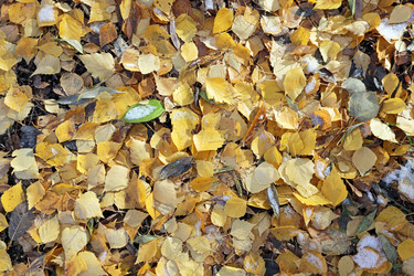 Similar image 7273957