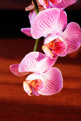 Similar image 7274581