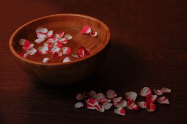 Similar image 7274586