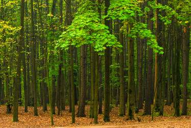 Similar image 7275673