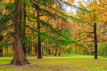 Similar image 7275675